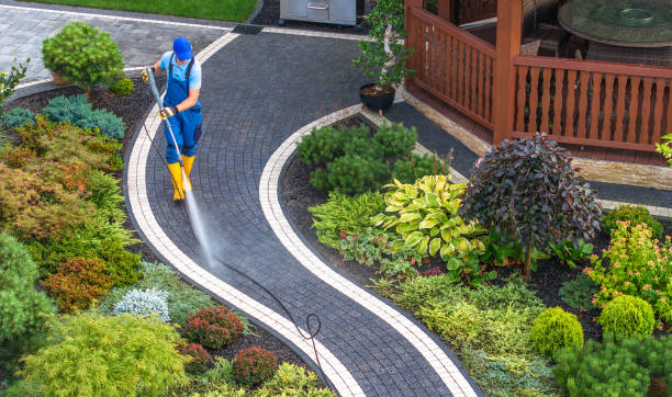 Best Roof Power Washing Services  in Estill Springs, TN